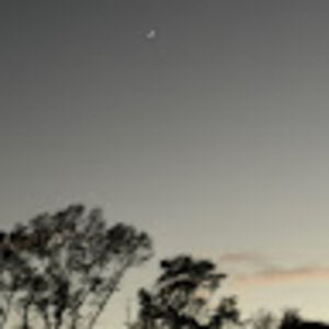 Meet your Posher, Iris